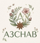 A3CHAB